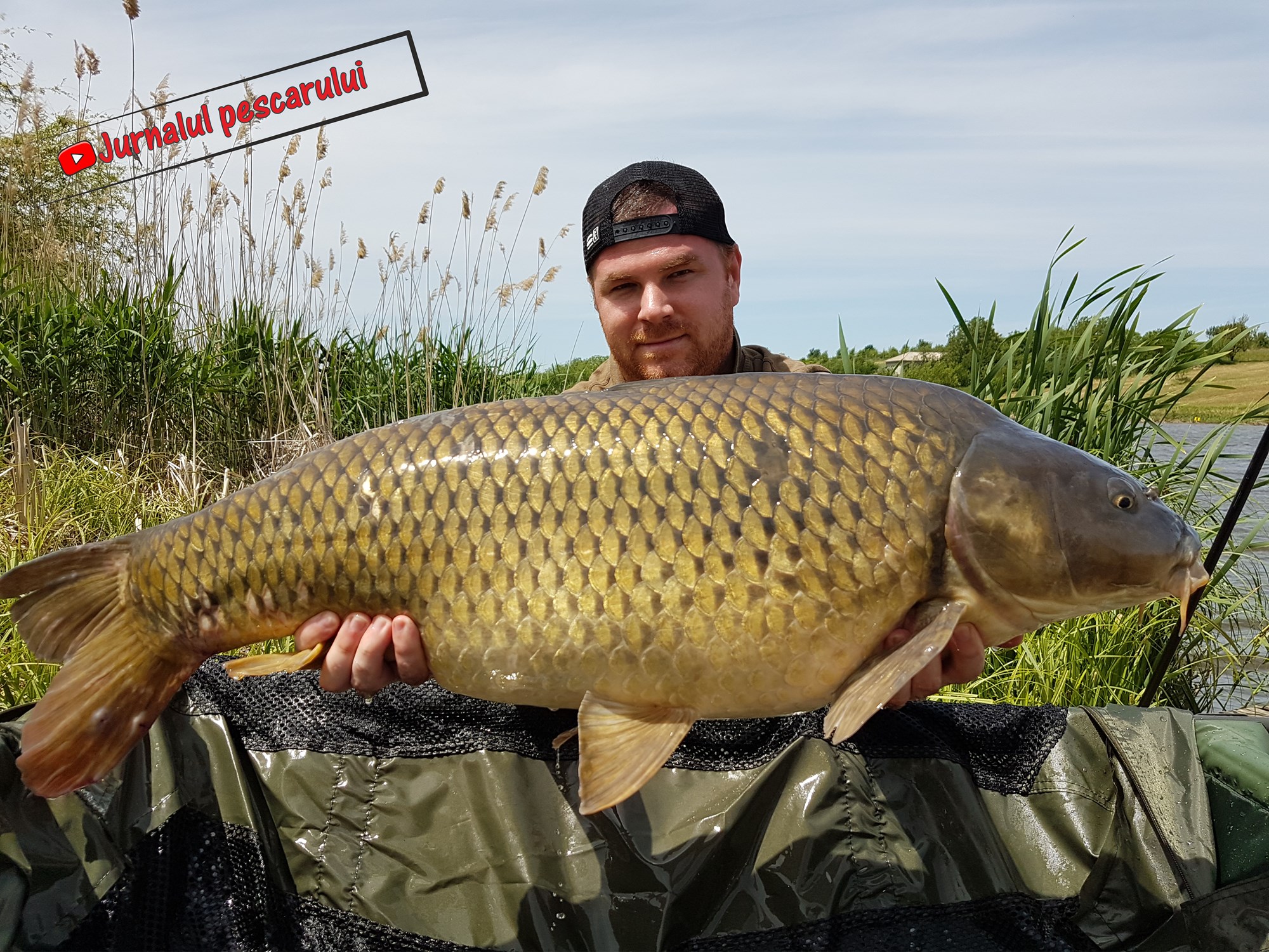 Balata LAZAR Alexandria  15 - 17 mai 2020 - 6.jpg